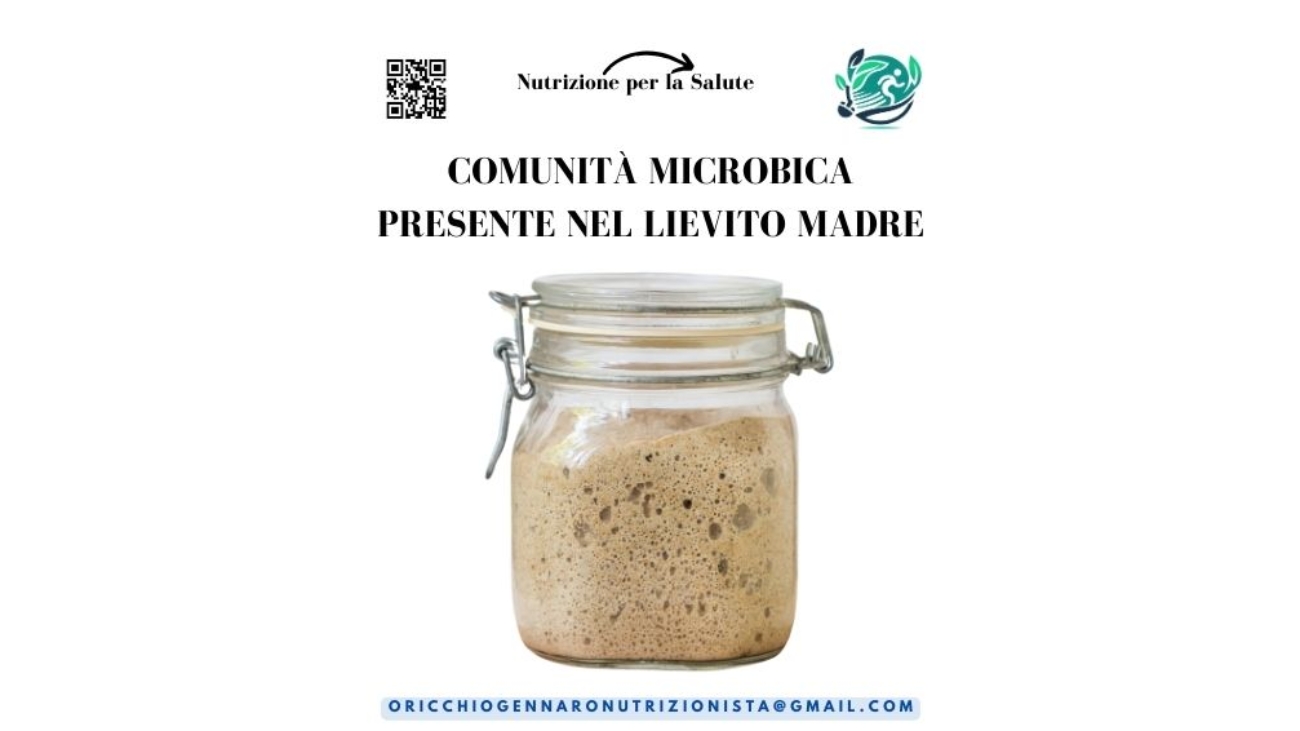 COMUNITÀ MICROBICA PRESENTE NEL LIEVITO MADRE