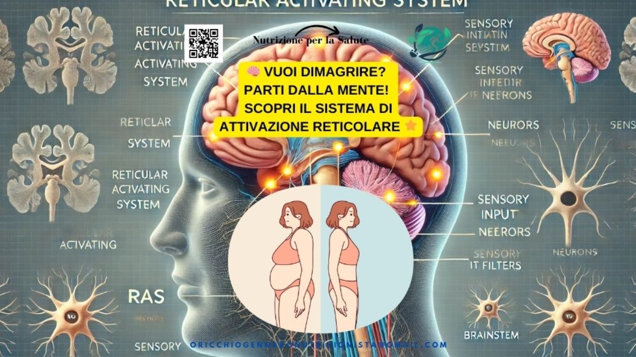 VUOI DIMAGRIRE? PARTI DALLA MENTE! SCOPRI IL SISTEMA DI ATTIVAZIONE RETICOLARE