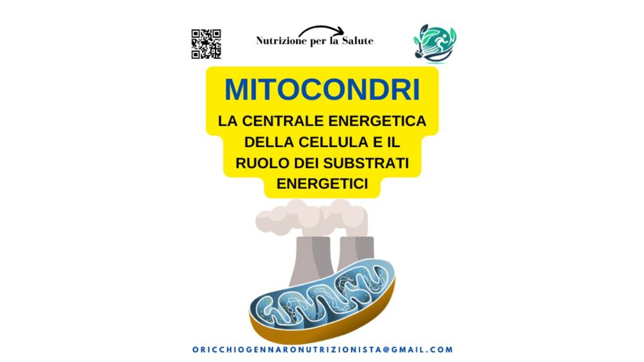 MITOCONDRI LA CENTRALE ENERGETICA DELLA CELLULA